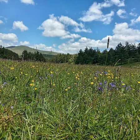 Eden Lux 3 * Zlatibor