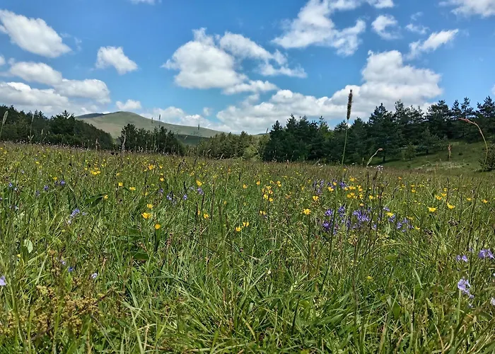 Eden Lux 3 * Zlatibor